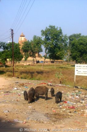 eastern Hindu temple group, Khajuraho, Madhya Pradesh, India, India 2009,travel, photography,favorites