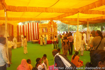 bodhi tree, Sarnath, Uttar Pradesh, India, India 2009,travel, photography