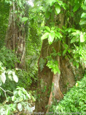 Palenque ruins, Mexico 2007,travel, photography