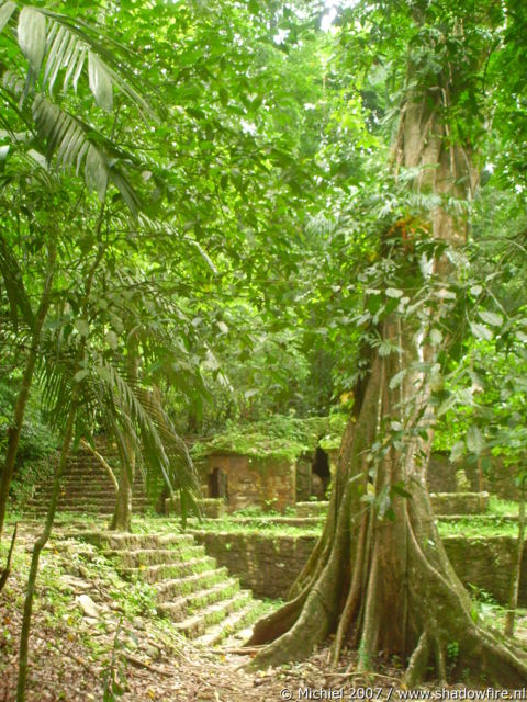 Palenque ruins, Mexico 2007,travel, photography,favorites