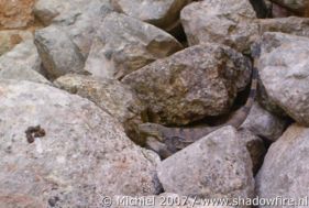 Uxmal ruins, Mexico 2007,travel, photography