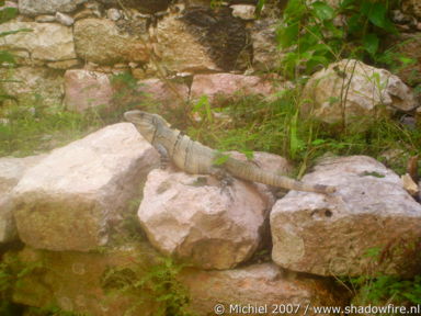 Chichen Itza ruins, Mexico 2007,travel, photography,favorites