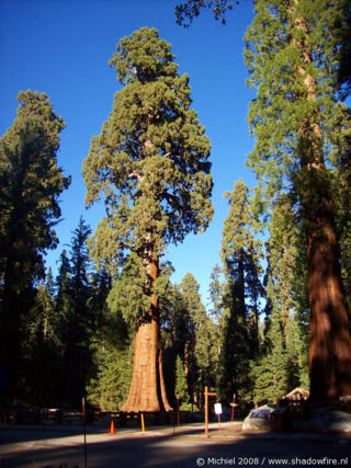 Giant Forest Museum, Giant Forest, Sequoia NP, California, United States 2008,travel, photography