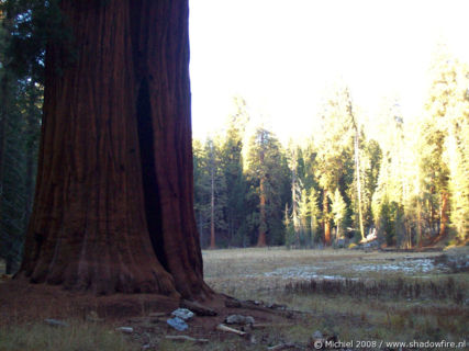 Big Trees Trail, Giant Forest, Sequoia NP, California, United States 2008,travel, photography