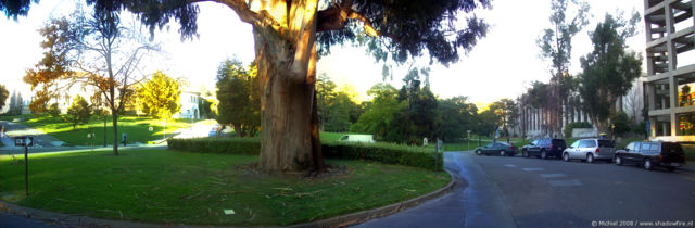 University of California panorama University of California, Berkeley, California, United States 2008,travel, photography, panoramas