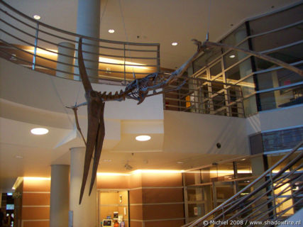 Dinosaur, Life Sciences, University of California, Berkeley, California, United States 2008,travel, photography