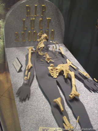 Grave of Lucy, Prehistoric humans, Life Sciences, University of California, Berkeley, California, United States 2008,travel, photography