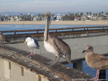 Pier Pacific Ocean, Venice Beach, Venice, Los Angeles area, California, United States 2008,travel, photography