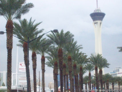 Stratosphere, The Strip, Las Vegas BLV, Las Vegas, Nevada, United States 2008,travel, photography