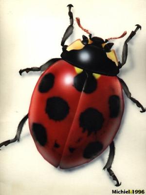 Artwork,Airbrush,Ladybug